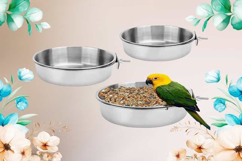 parrot food container